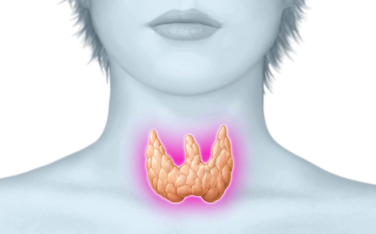 Кистозные образования и узлы щитовидной железы